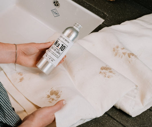 Laundry Care for Pet Lovers - Clothes Doctor