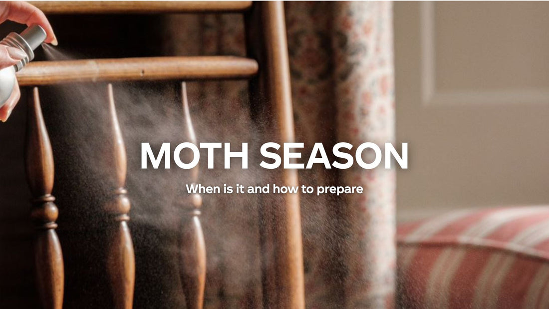 When Is Moth Season And How To Prepare Your Home and Wardrobe