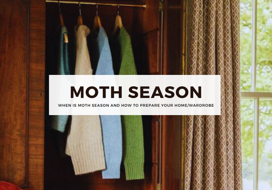 When Is Moth Season And How To Prepare Your Home and Wardrobe