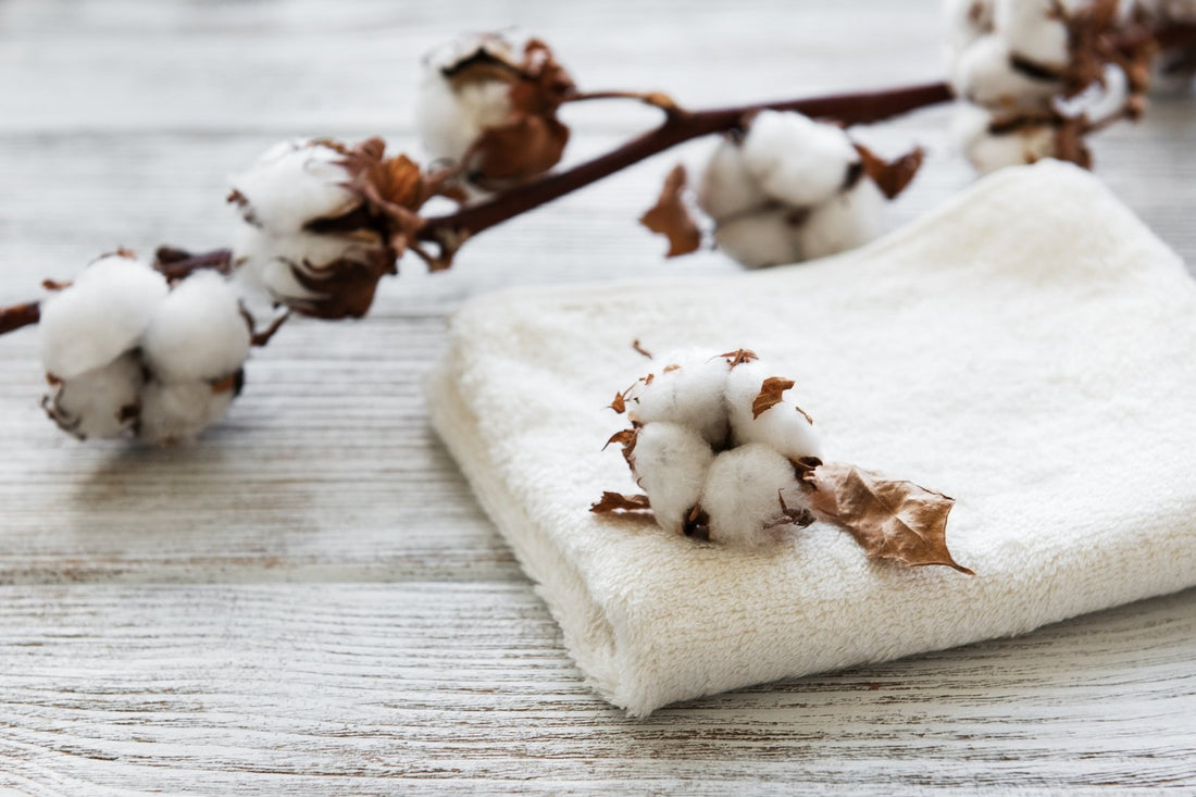 How To Clean and Care for Cotton - Clothes Doctor