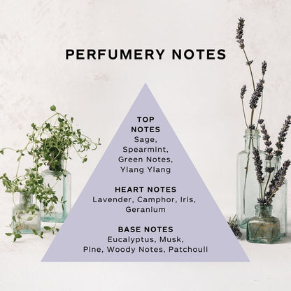 Knitwear Mist - Lavender and Thyme